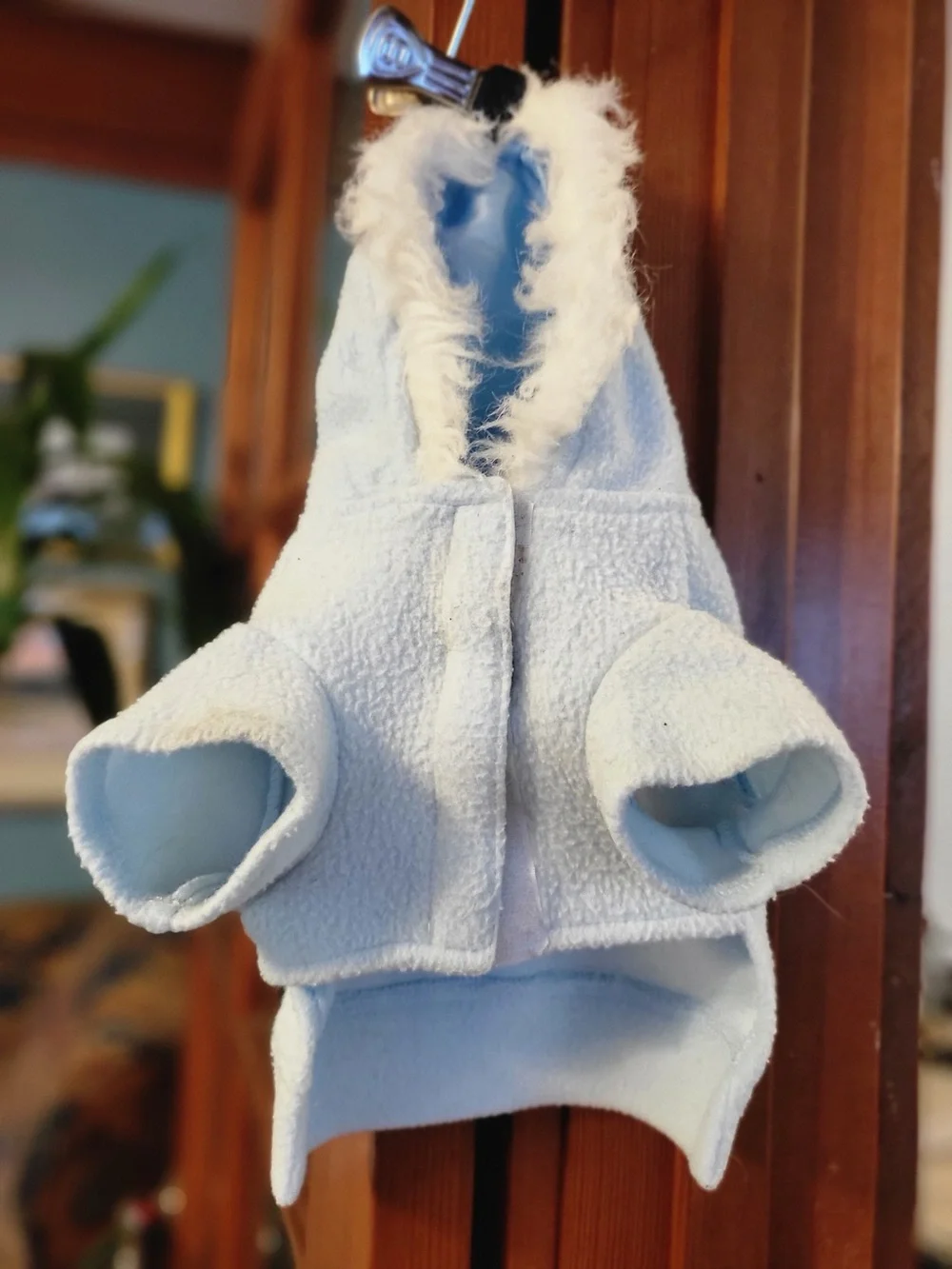 Petco dog hoodie